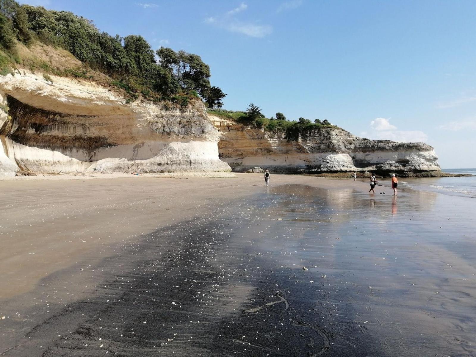 Logis Paul Massy Bed & Breakfast Meschers-sur-Gironde Luaran gambar